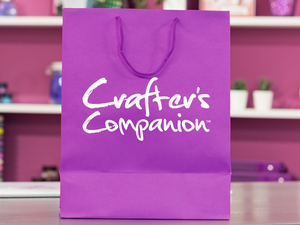 Crafter's Companion Papercraft Taster Bag