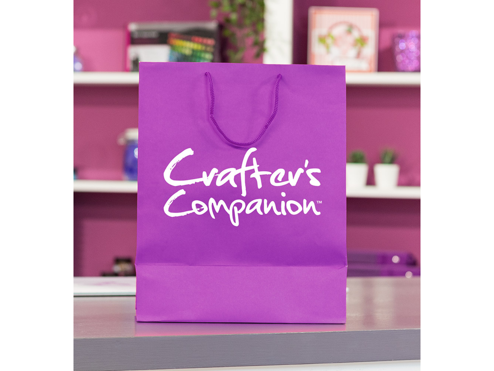 Crafter's Companion Papercraft Taster Bag