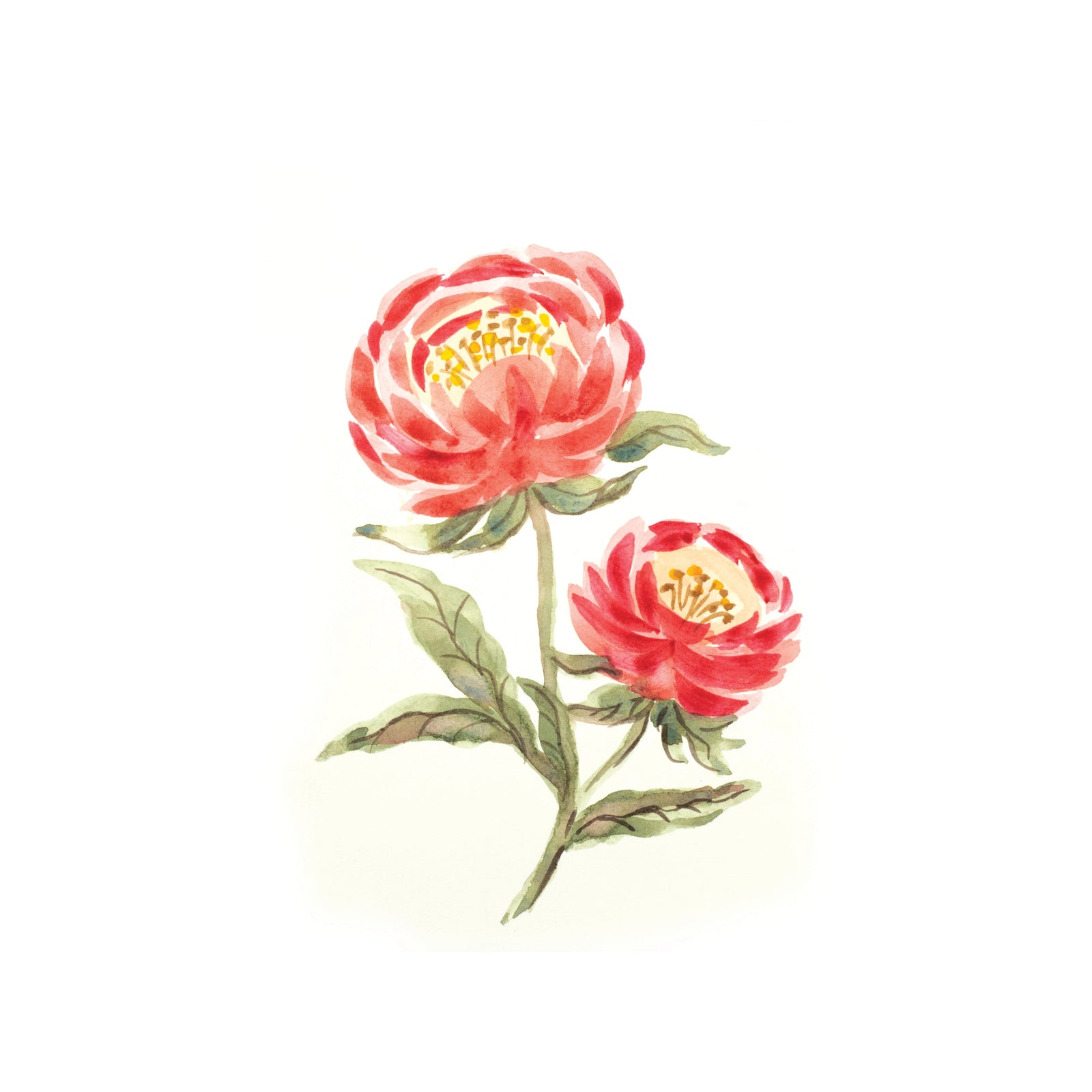 Sheena Douglass Watercolour Fusion Photopolymer Stamp - Perfect Peony