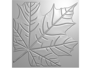 Nature's Garden - Thankful & Blessed 3D Embossing Folder - Fallen Leaf