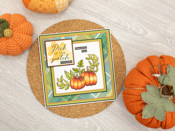 Nature's Garden - Thankful & Blessed Photopolymer Stamp - Pumpkin Corner