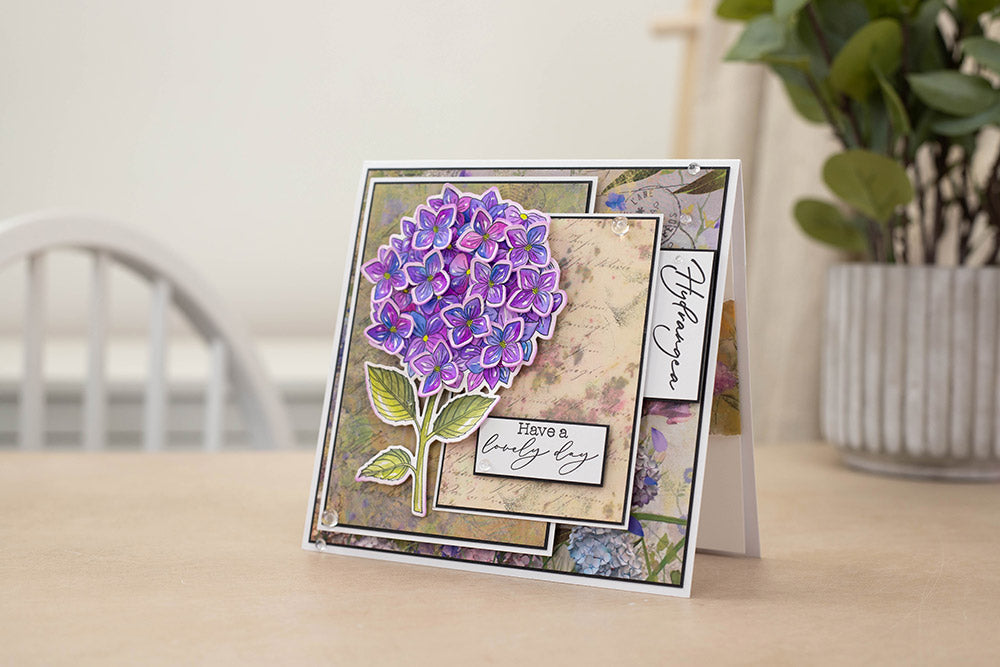 Nature's Garden - Hydrangea - 12" x 12" Paper Pad