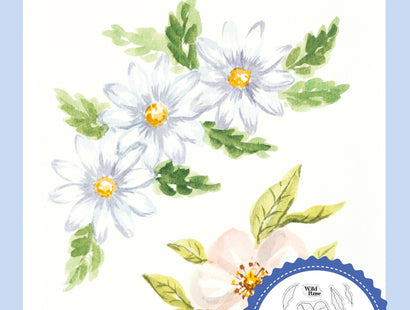 Sheena Douglass Watercolour Fusion Photopolymer Stamp - Daisy and Wild Rose