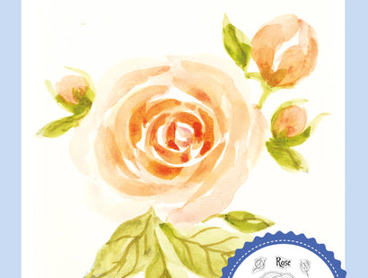 Sheena Douglass Watercolour Fusion Photopolymer Stamp - Radiant Rose