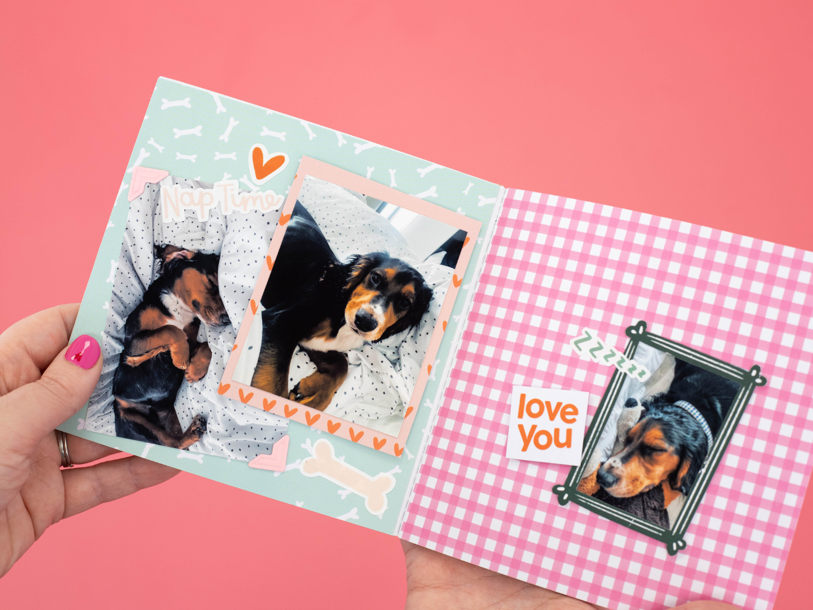 Best In Show Puppy Scrapbook Kit - Violet Studios