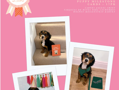 Best In Show Puppy Milestone Cards - Violet Studios