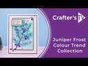 Crafter's Companion - Chunky Glitter Paste - Berry Basket