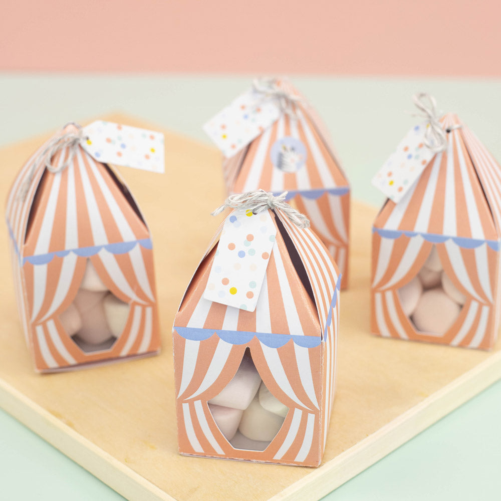 Little Circus Treat Boxes - Violet Studios